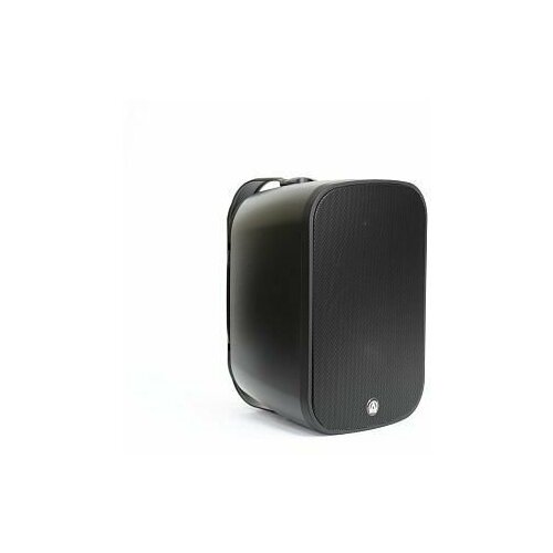 Настенная акустическая система AuraSonics DENSE-6T 1408000₽