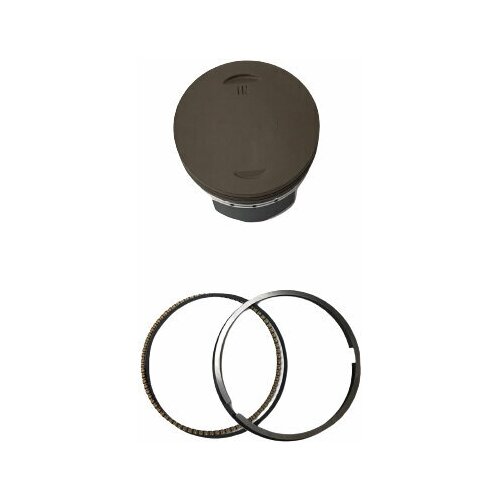 Поршень в сборе Zongshen ZS172FMM-3A 250сс для мотоциклов и питбайков