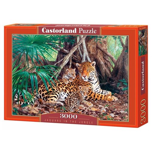 Castorland Jaguars in the Jungle (C-300280), 3000 дет., 27.5х38.5х5 см, разноцветный