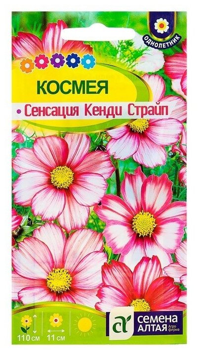 Семена цветов Космея 