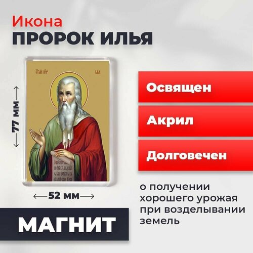 Икона-оберег на магните Илья Пророк, освящена, 77*52 мм икона оберег на магните праведная анна освящена 77 52 мм