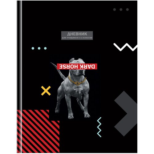 Дневник 5-11 кл. 48л. (твердый) BG \