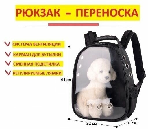 Переноска-рюкзак с анатомической спинкой и прозрачным окном-иллюминатором для кошек и собак - фотография № 5