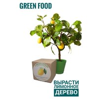 Домашний лимон, набор, лимонное дерево, Green food