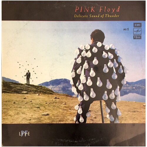 Виниловая пластинка Pink Floyd Delicate Sound Of Thunder