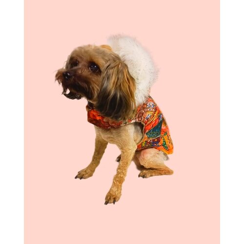 Попона Лентяйка для собак с капюшоном оранжевая р.6