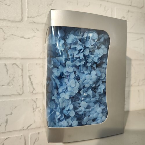 Гортензия стабилизированная в коробке