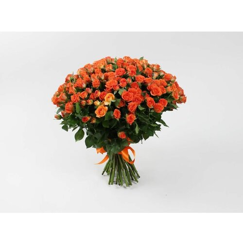 Букет 51 кустовая оранжевая роза 60 см.
