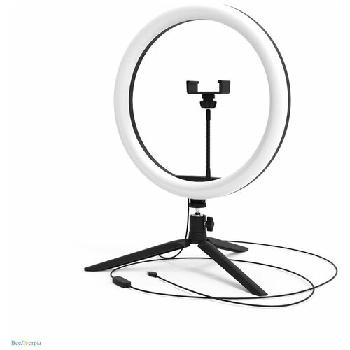 Кольцевой светодиодный светильник Gauss Ring Light RL003 165000₽
