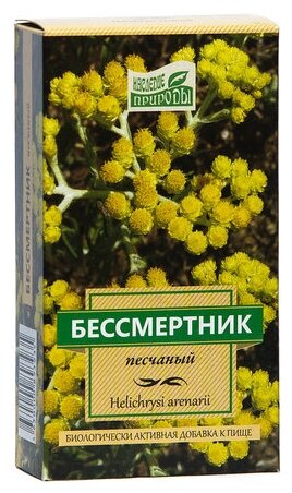 Цветы Бессмертники Фото