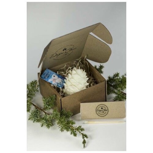 Интерьерная свеча в подарочной коробке, Кедровая шишка, 7 см х 6 см