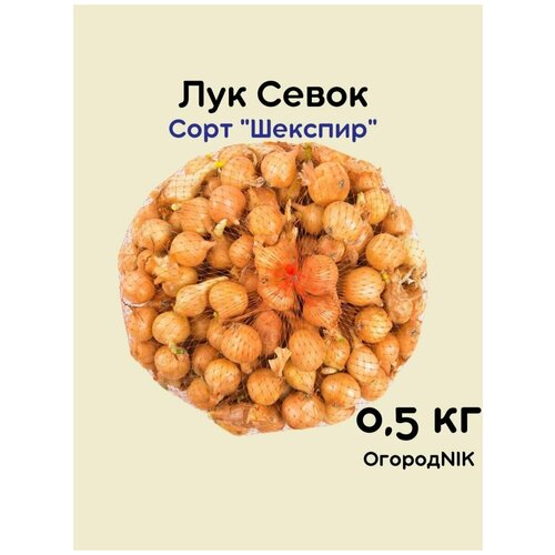 Лук Севок сорт Шекспир 0.5 кг