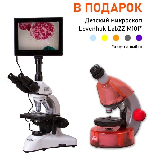 Микроскоп цифровой Levenhuk MED D25T LCD, тринокулярный + Детский микроскоп Levenhuk LabZZ M101