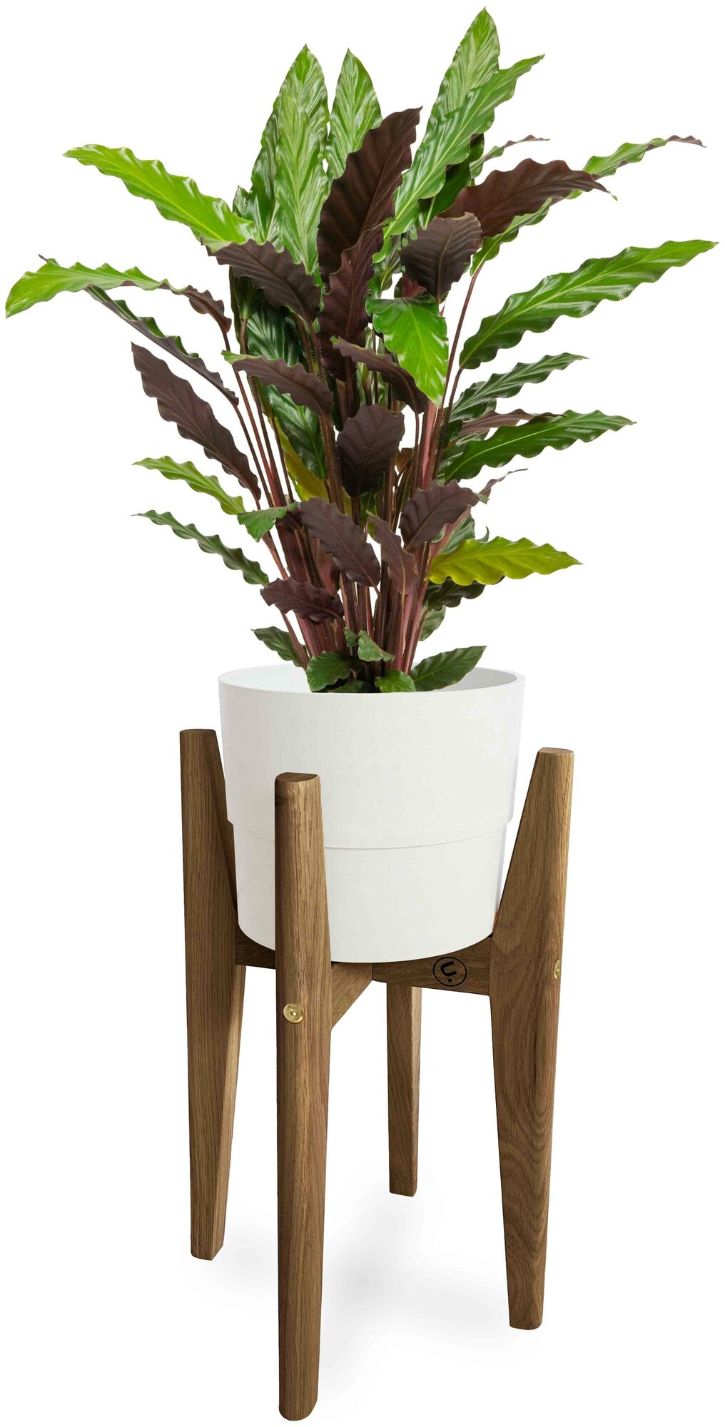 Подставка для цветов деревянная напольная Flora Urban Карл, цв: Орех американский Ø: 20 см h: 50 см (M)