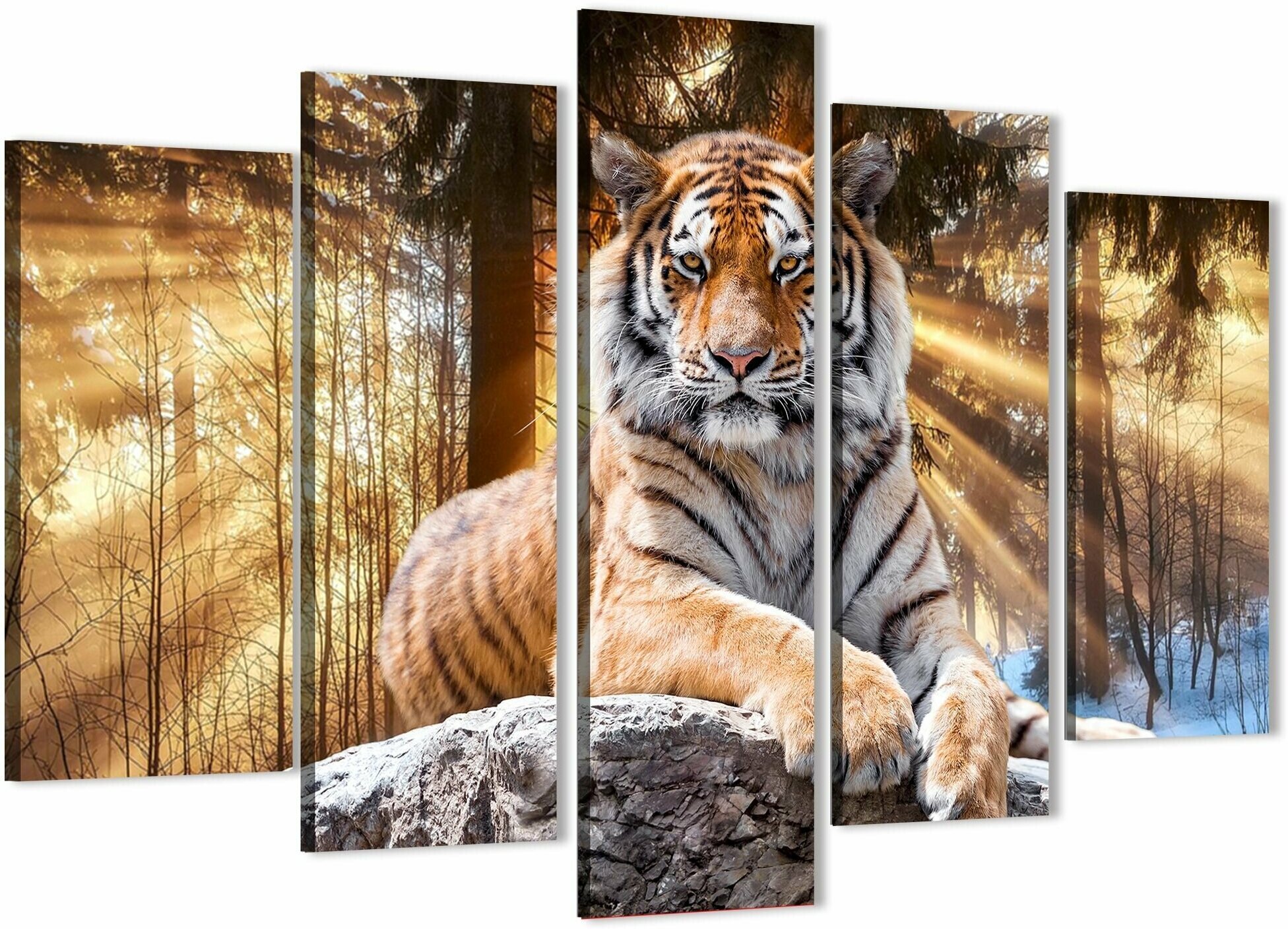 Модульная картина на натуральном холсте для интерьера на стену Тигр в лучах солнца / Природа / Животные 80х140см MD0234