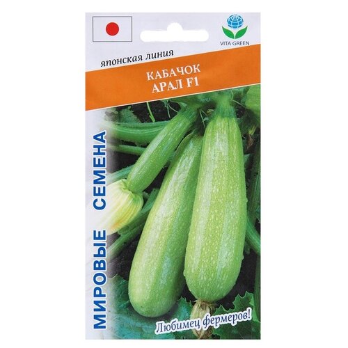 Семена Кабачок 