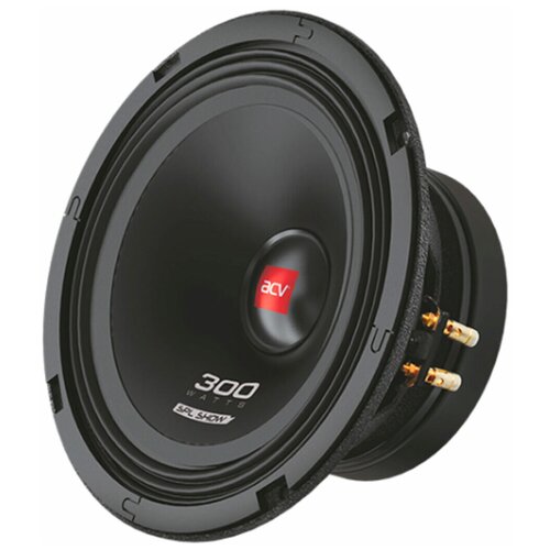 Акустика SPL SHOW 65 ACV NF-165HY 272200₽