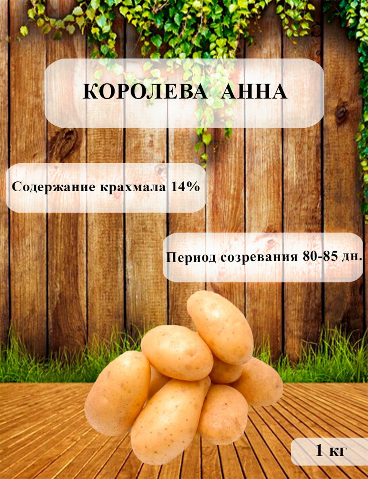 Семенной картофель Королева Анна 1-ая репродукция, клубни на посадку 1 кг