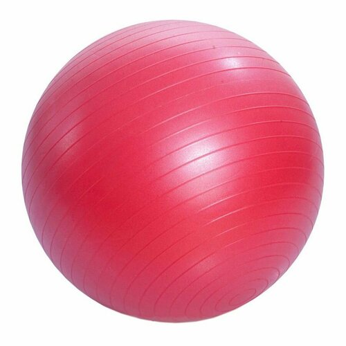 Мяч гимнастический фитбол 65 см. мяч chersa гимнастический диаметр 19