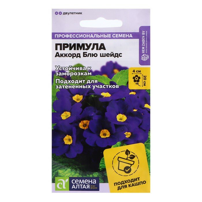фото Семена Примула "Аккорд Блю шейдс", 5 шт