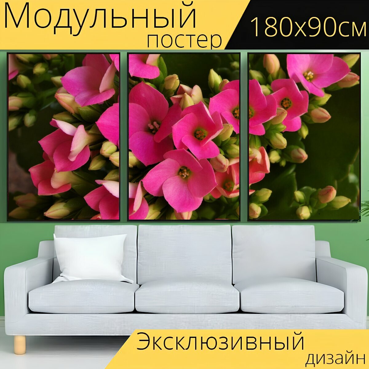 Модульный постер "Розовые цветы, розовый цветок, весна" 180 x 90 см. для интерьера