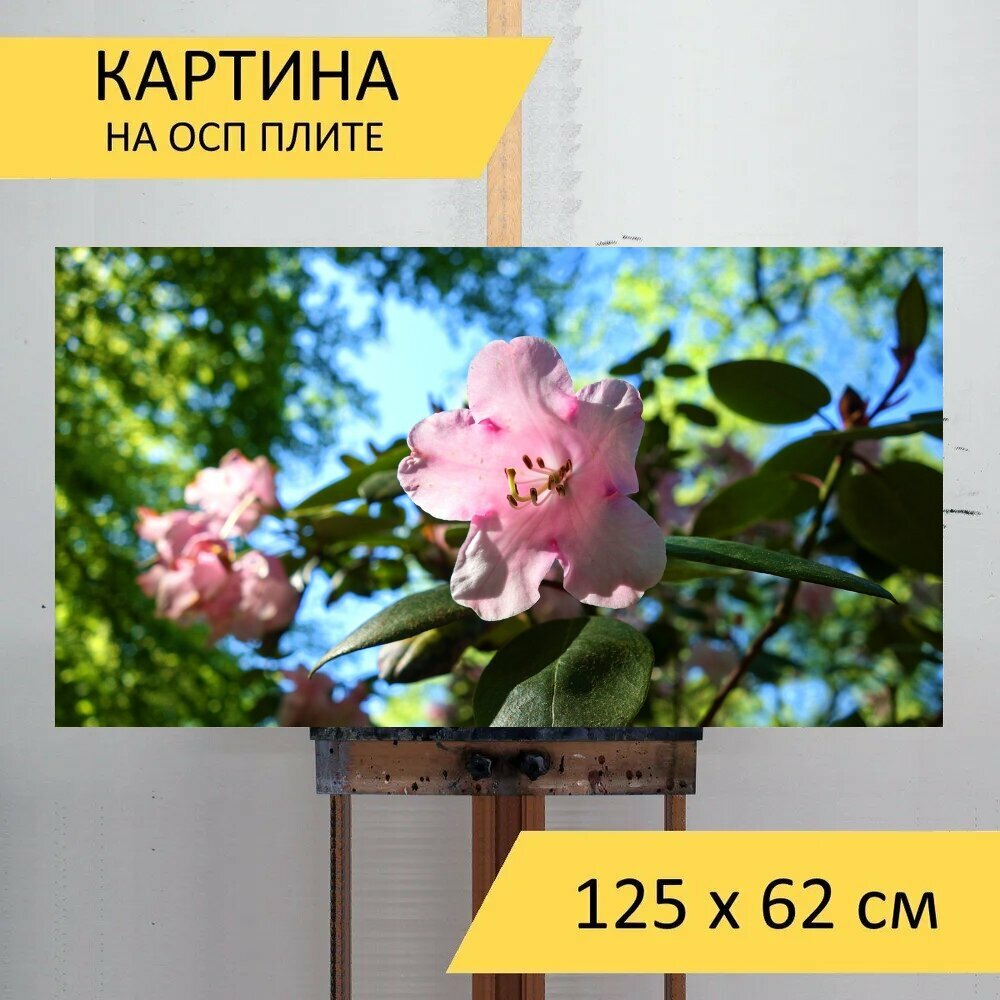 Картина на ОСП 125х62 см. 