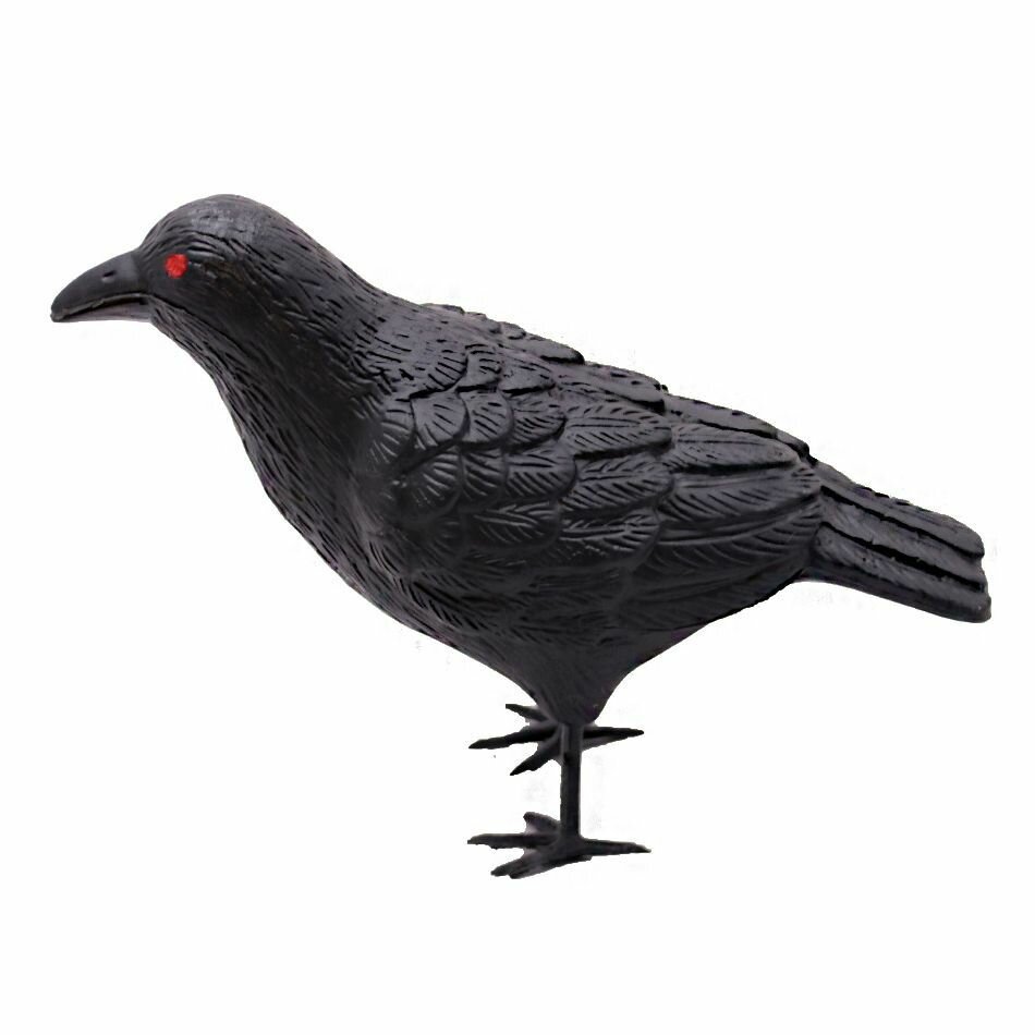 фото Ворон "Вещий", декорация для Хэллоуина, вечеринки, праздника