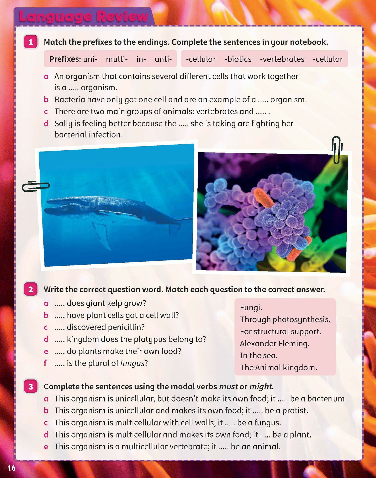 Science Skills. Level 5. Pupil's Book - фото №7