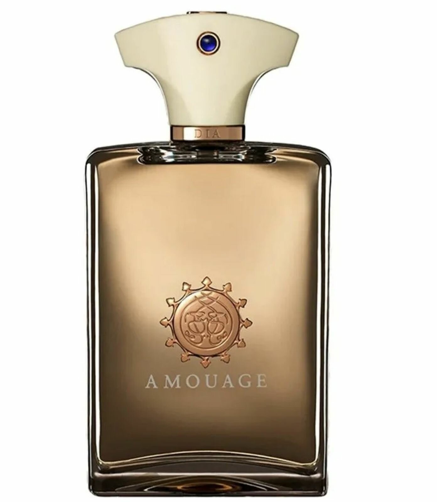 AMOUAGE Парфюмерная вода Dia For Men, 100 мл