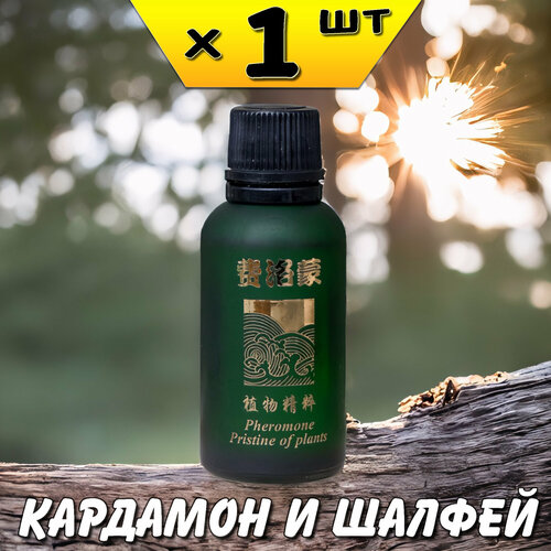 Масло для пупка и тела Кардамон и Шалфей для улучшения микроциркуляции в тканях, Ли Вест