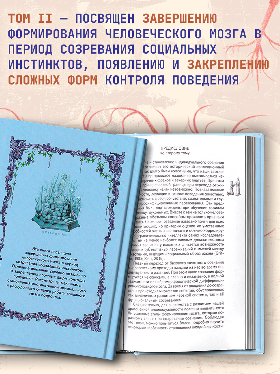 Книга Морфология сознания. 3-е издание, исправленное и дополненное. Том 1. Савельев Сергей