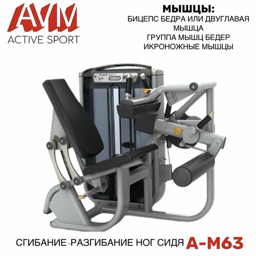 профессиональный силовой тренажер для зала сгибание разгибание ног avm a c063 Профессиональный силовой тренажер для зала Сгибание - разгибание ног сидя A-M63