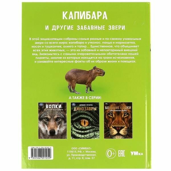 Энциклопедия для детей Капибара и другие забавные звери Умка / развивающая книга детская