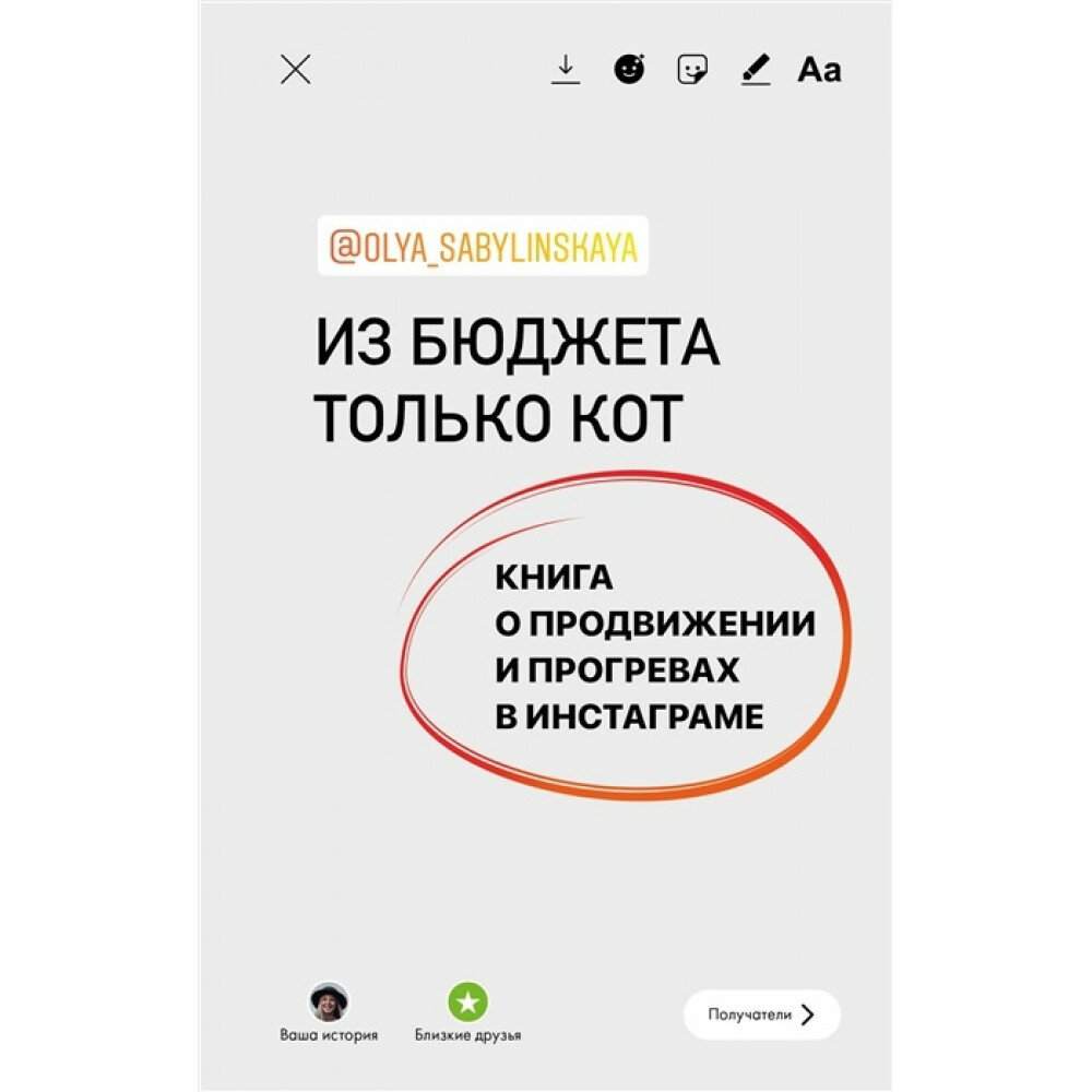 Из бюджета только кот. Книга о продвижении и прогревах в инстаграме - фото №3