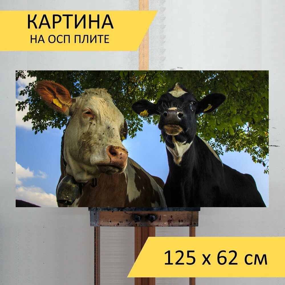 Картина на ОСП "Коровы, фермерский двор, говядина" 125x62 см. для интерьера на стену