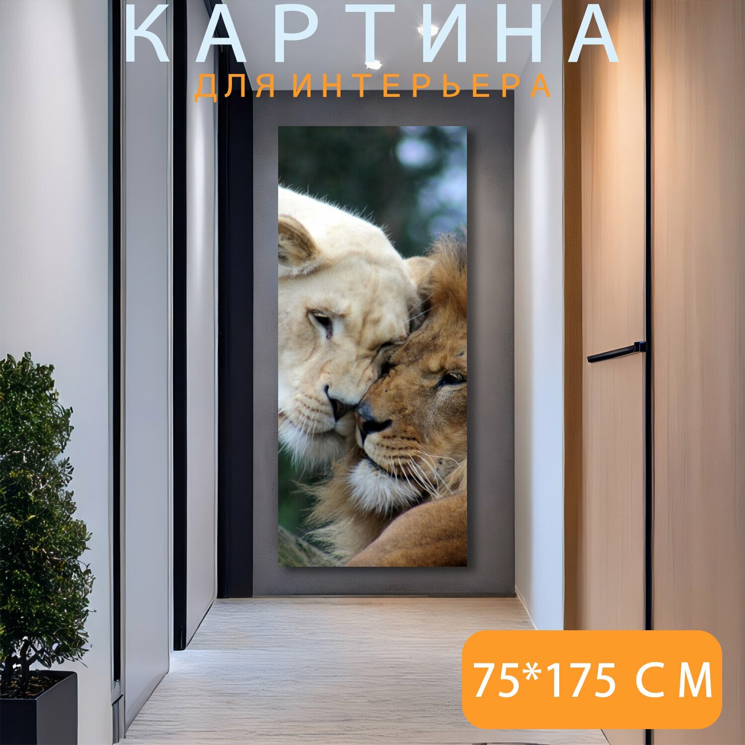 Картина на холсте "Лев, львица, большой кот" на подрамнике 120х75 см. для интерьера