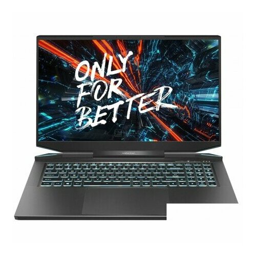 Игровой ноутбук Maibenben X757 X757QSFELBRE0 12200000₽