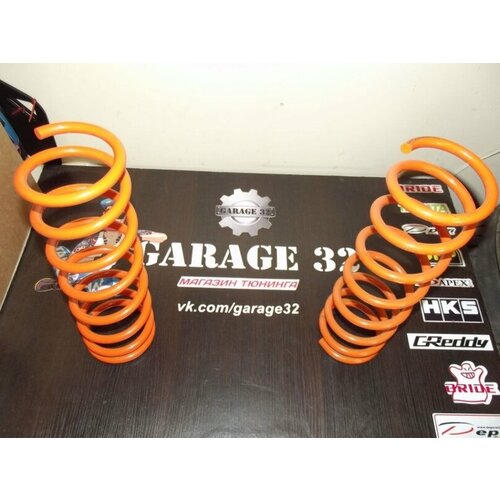 Пружины задние 