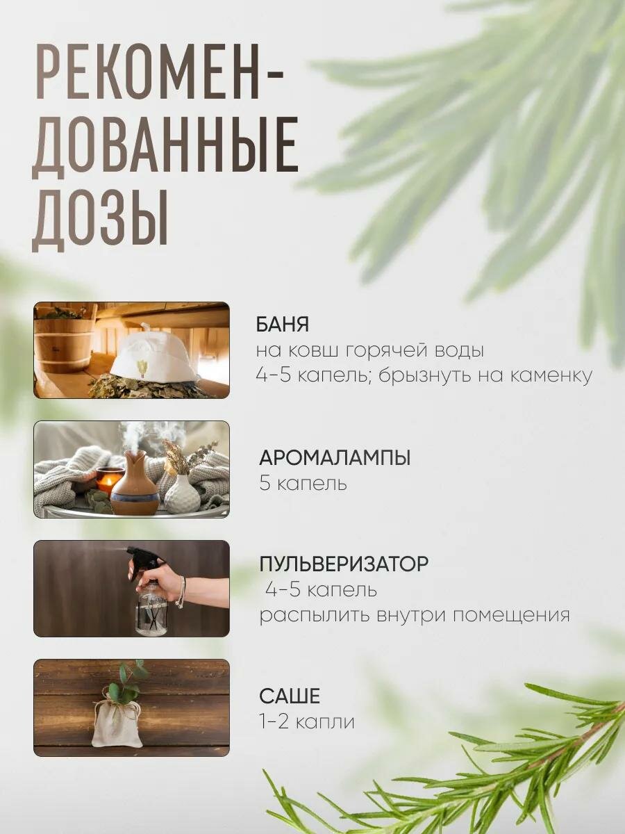 Картинки Эфирное масло "Розмарин", флакон-капельница, аннотация, 10 мл