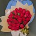 Розы Кения 33 шт красные в кремовой упаковке 37 см (на фото 35 шт)арт.12646