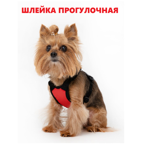 Шлейка для собак прогулочная, р. S (красный) объём груди 36-47