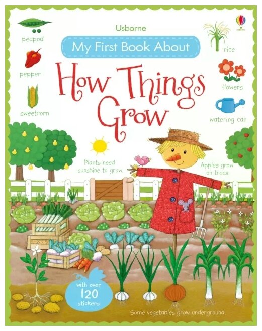 My First Book About How Things Grow - фото №1