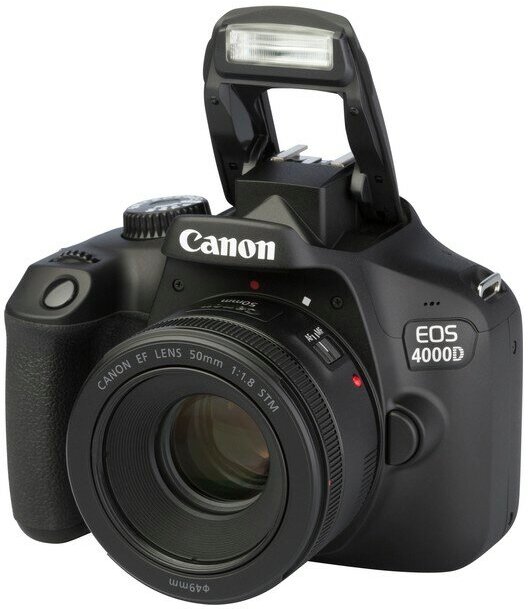Canon 4000d kit EF 50mm f/1.8 STM