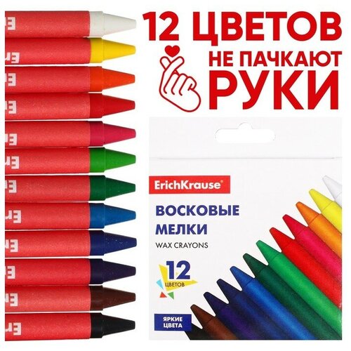 ErichKrause Восковые мелки 12 цветов, ErichKrause Basic