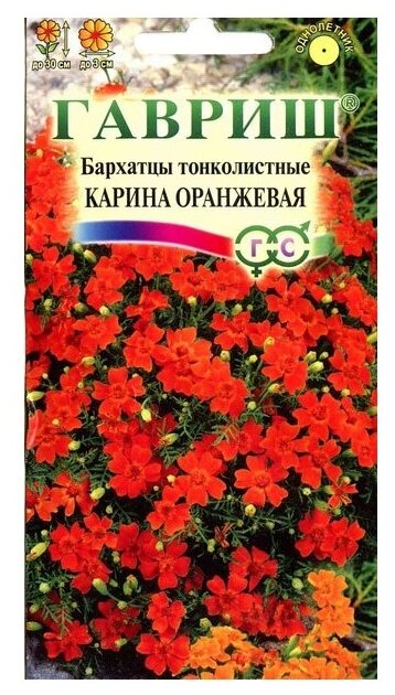 Семена Гавриш Бархатцы тонколистные (тагетес) Карина оранжевая 0,05 г