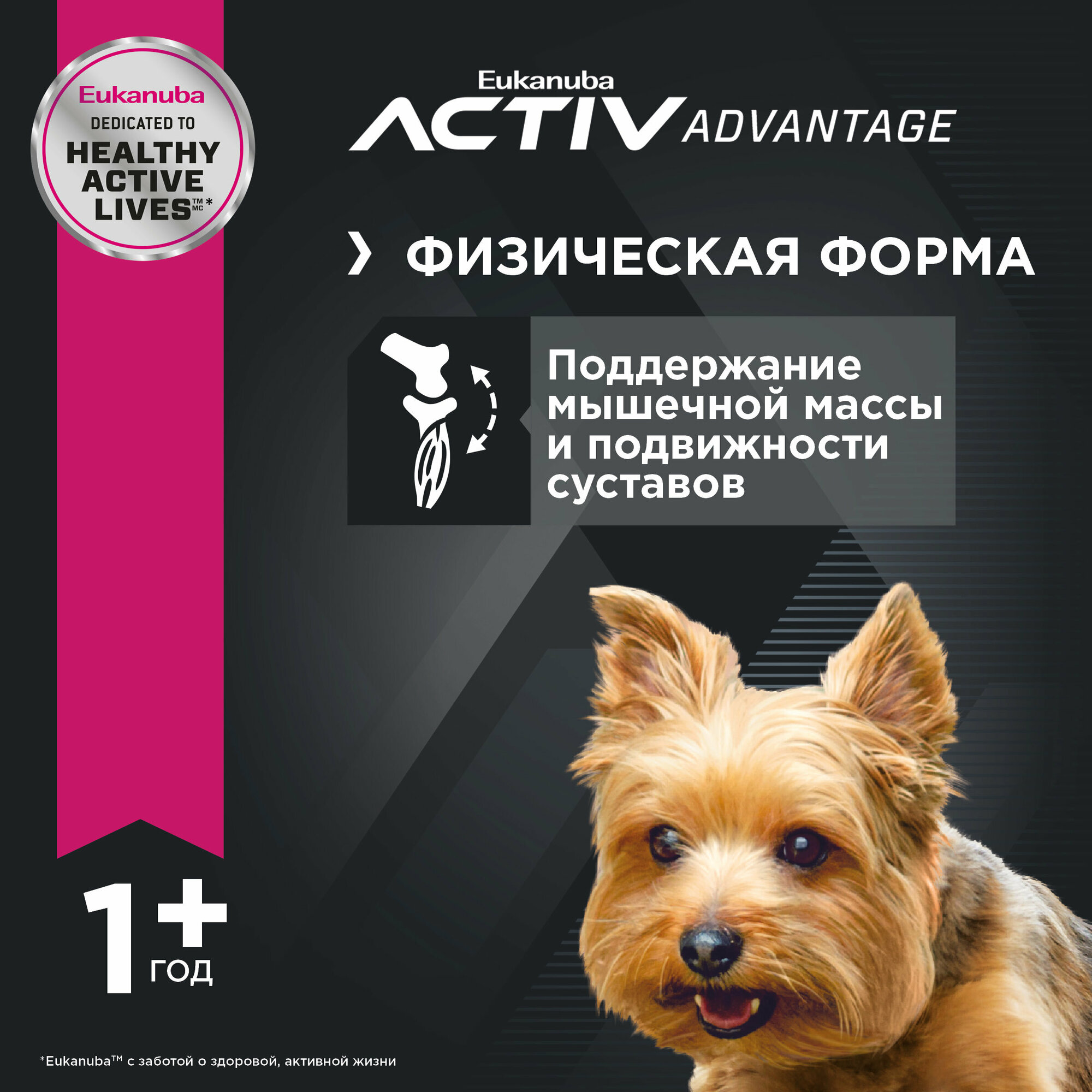 Корм для взрослых собак миниатюрных пород Eukanuba Adult Toy Breed 1+ years сухой, 1,5 кг