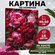 Картина по номерам на холсте с подрамником "Красочные пионы" 40*50 см