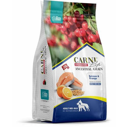 CARNI LIFE 12 кг Medium Maxi для собак средних и крупных пород лосось с апельсином и клюквой