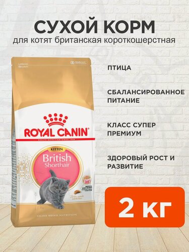 Изображение товара Корм сухой Royal Canin British Shorthair Kitten 34 для британских короткошерстных котят, 2 кг