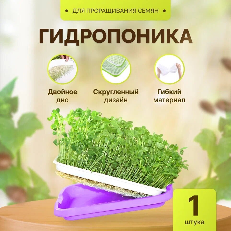Проращиватель семян / Лоток для проращивания микрозелени Фиолетовый / Гидропоника 1 штука